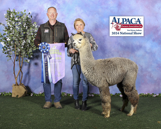 Majestic's AA Outta This World