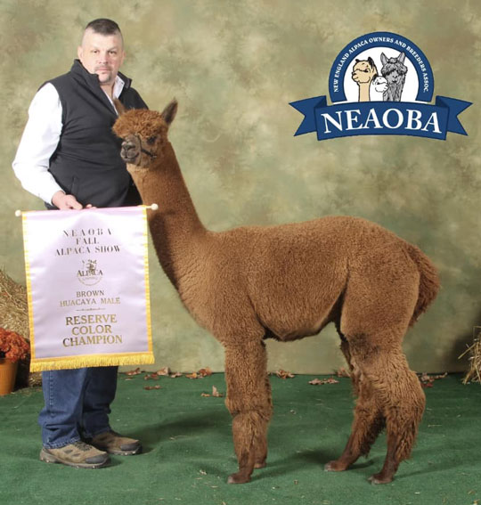 Manhattan's Perfect Storm