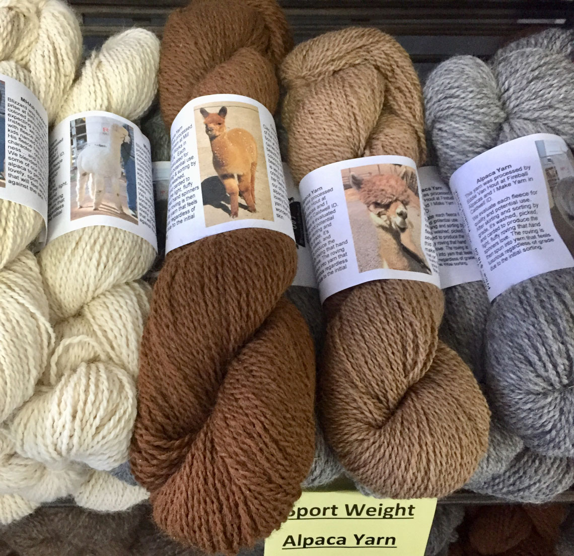 Sport Weight Yarn Assortment