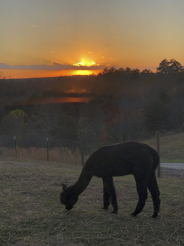 View from my front porch!