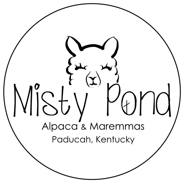 Misty Pond Alpaca & Maremmas