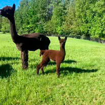 Welcome to the world Tisha