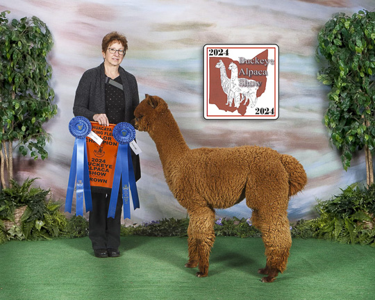 Oblivion's Pumpkin Spice