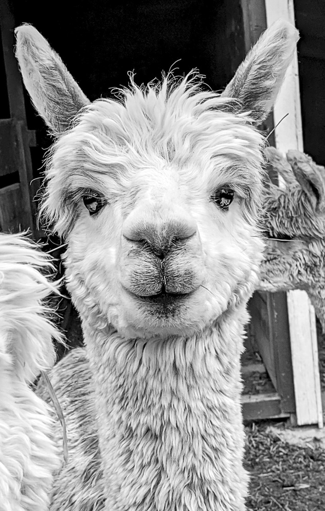 Are you looking at me? Because I see you