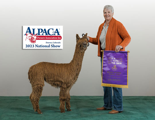 Raynay's Scheherazade by GL