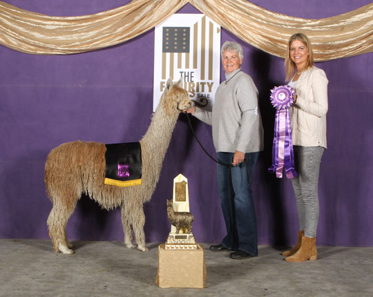 Raynay's Silky Smooth Jazz