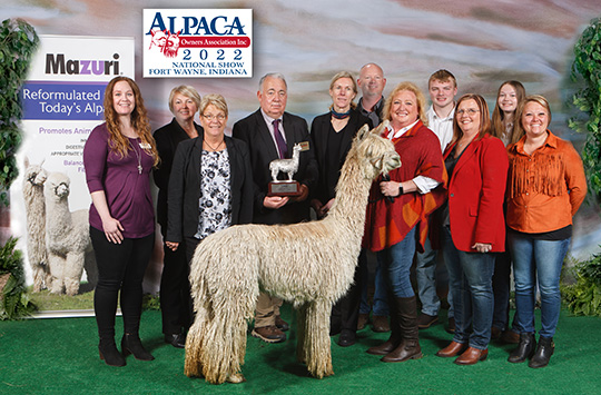 RDE's Aston Martin Limited Edition