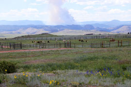 Red Granite Ranch Logo