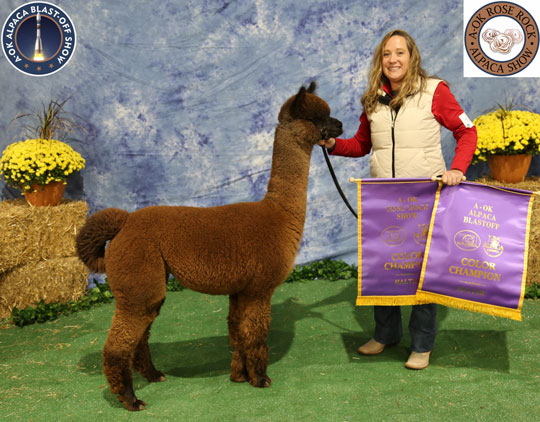 RGR's MISS CONTRARY BY VAL DLSERE