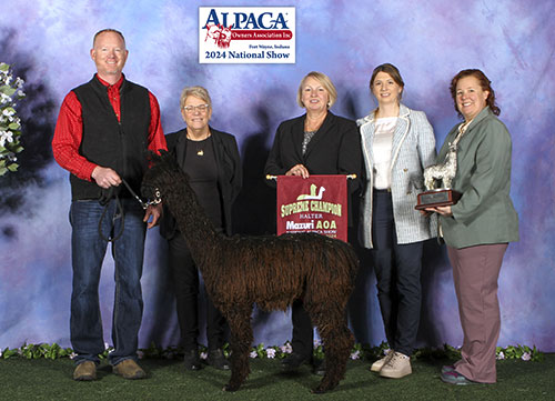 Rogue's Million Dollar Baby