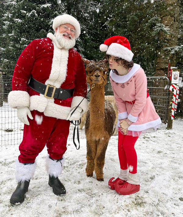 Santa visits Cedar Creek Alpacas