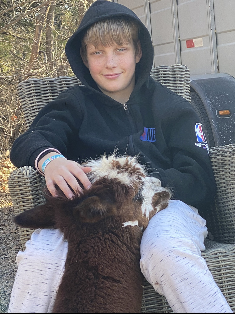 Chilling with alpaca Freckles