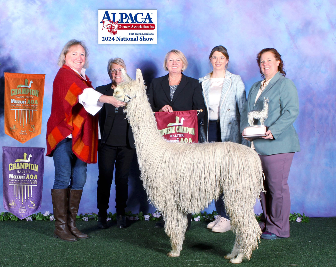 Shambalah's Amos Moses - 2024 National Supreme Light Male Champion