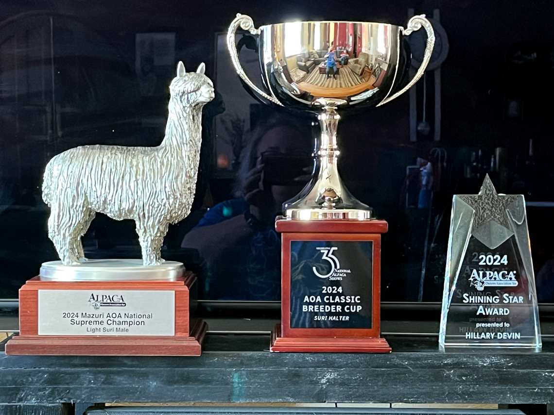 Suri Classic Cup Award 2021 - 2024
