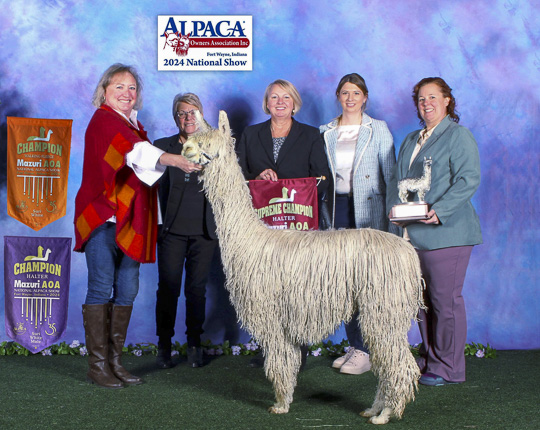 SHAMBALAH's Amos Moses