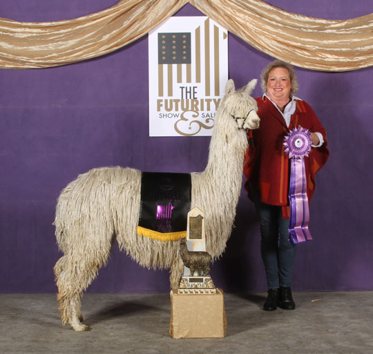 SHAMBALAH's Cherry Bomb