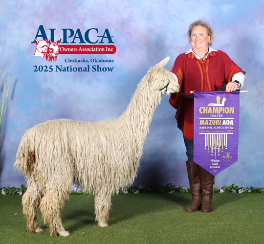 SHAMBALAH's Coloratura