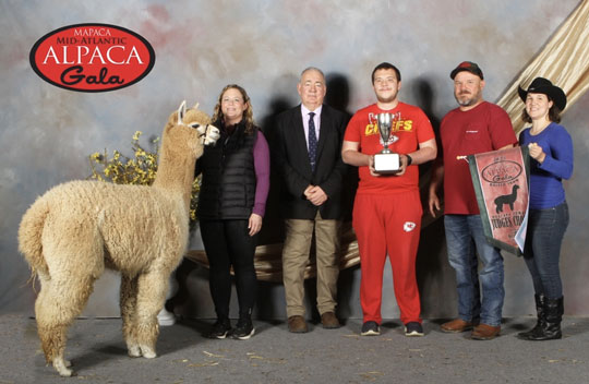 SHEPHERDS CREEK Zylia by Zagato