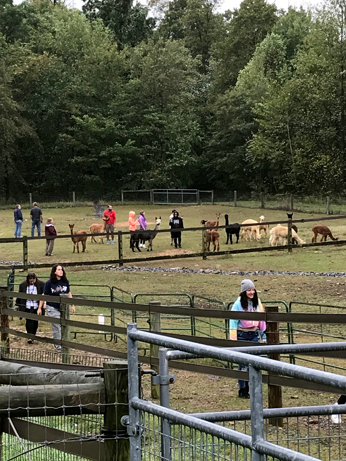 Visit us at our Open Farm Events