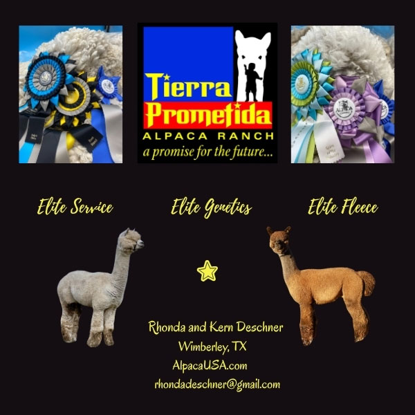 Tierra Prometida Alpacas