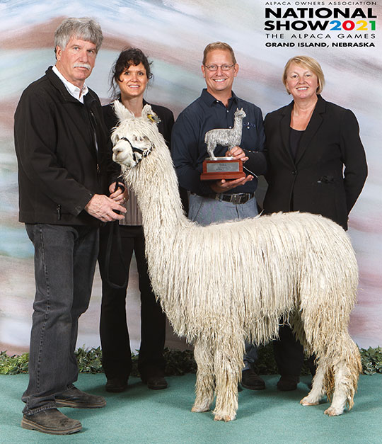 Tikanui's Kalee of Harmony