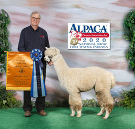 Token Creek Alpacas, LLC Logo