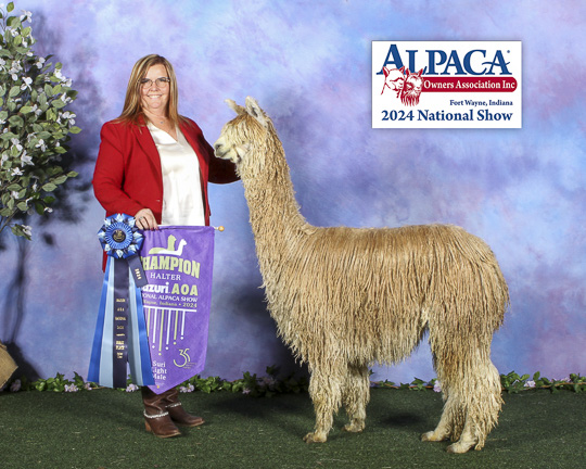 Top Gun Hollywood of THR