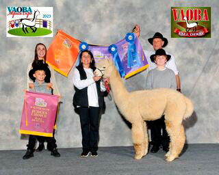 Mark Adams - 29 x Champion!