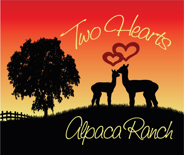 Two Hearts Alpaca Ranch