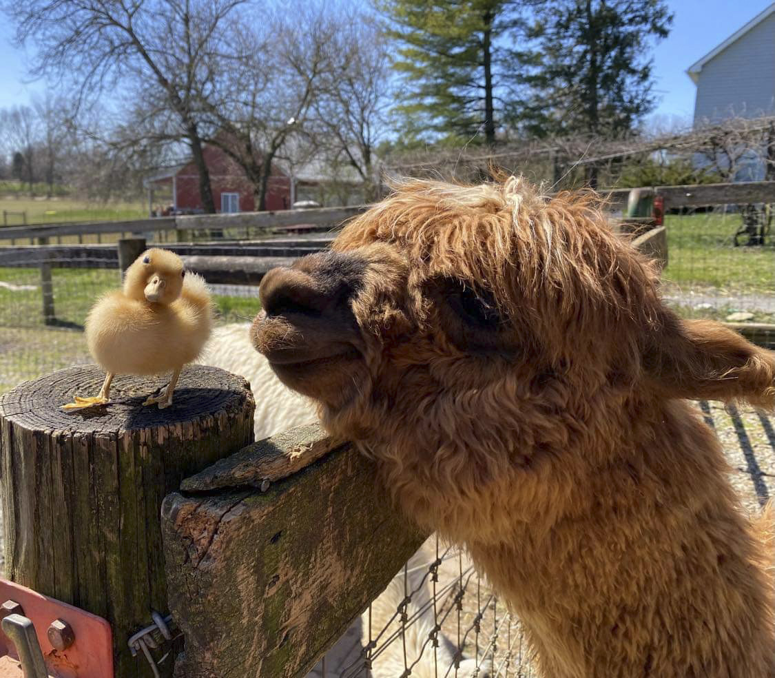 Let me tell you a secret