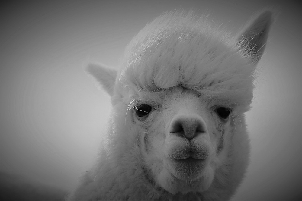 I love the highlights in my hair.