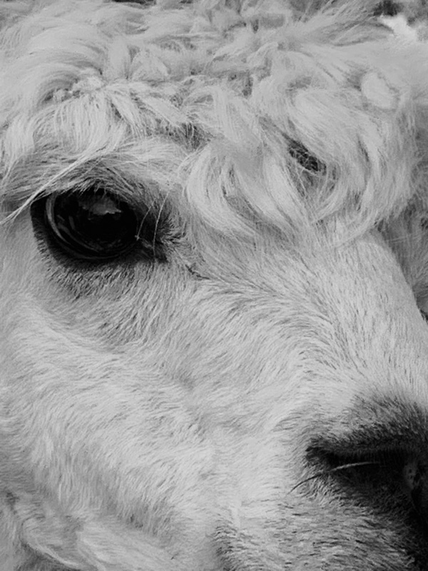 I've Got My Eye On You