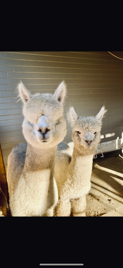 Good Morning Monchi..Beans you have a little something hanging out of your mouth.