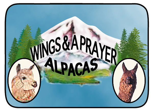 Wings and A Prayer Alpacas