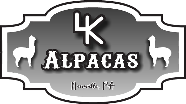 4K Alpacas