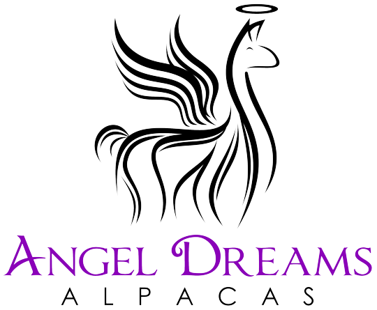 Angel Dreams Alpacas