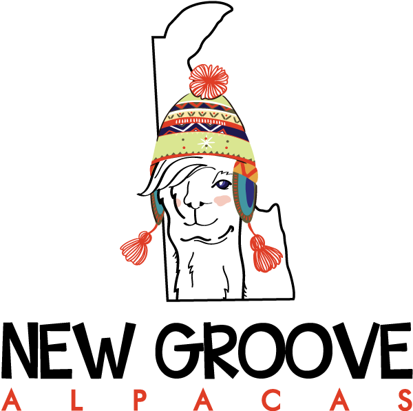 New Groove Alpacas