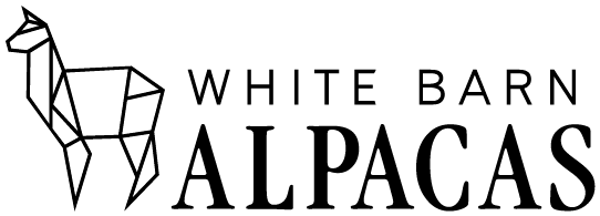 White Barn Alpacas
